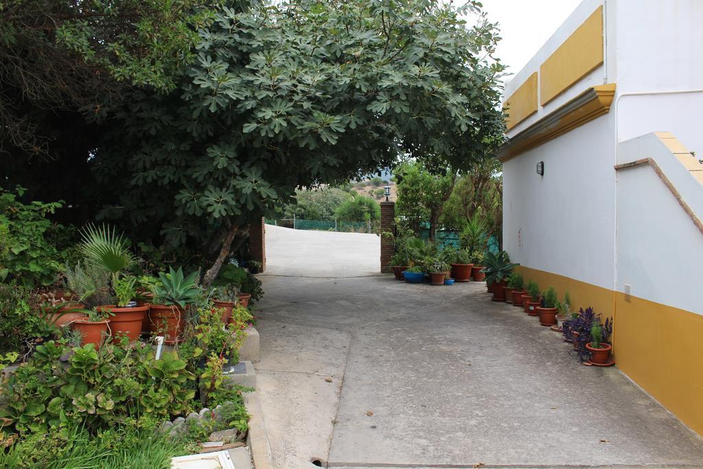 Apartamentos Bolonia Paraiso Buitenkant foto
